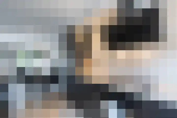 Boekhorstlaan 208 Voorhout thumbnail 11