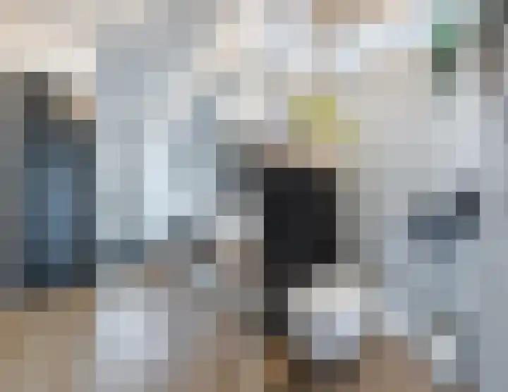 Boekhorstlaan 208 Voorhout thumbnail 12