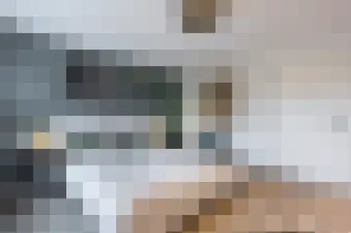 Boekhorstlaan 208 Voorhout thumbnail 15