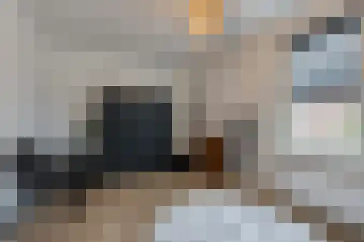 Boekhorstlaan 208 Voorhout thumbnail 17