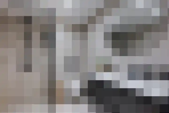Boekhorstlaan 208 Voorhout thumbnail 19