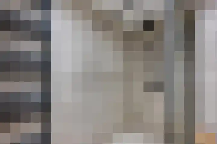 Boekhorstlaan 208 Voorhout thumbnail 20