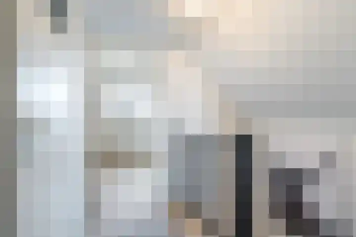 Boekhorstlaan 208 Voorhout thumbnail 22