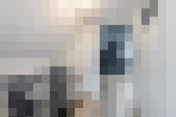 Boekhorstlaan 208 Voorhout thumbnail 23