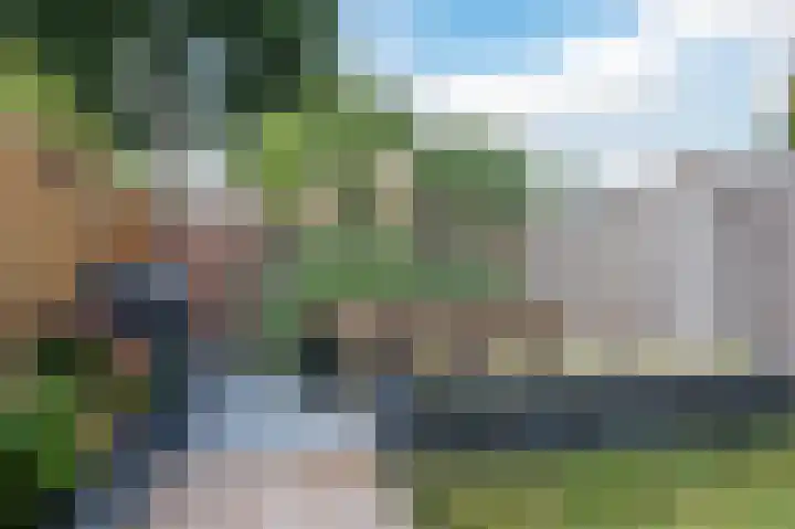 Boekhorstlaan 208 Voorhout thumbnail 27