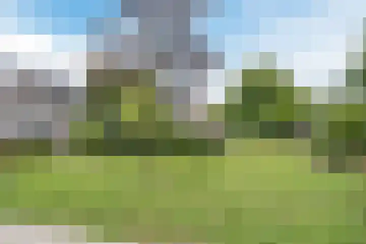 Boekhorstlaan 208 Voorhout thumbnail 34