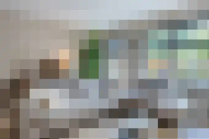 Boekhorstlaan 208 Voorhout thumbnail 4