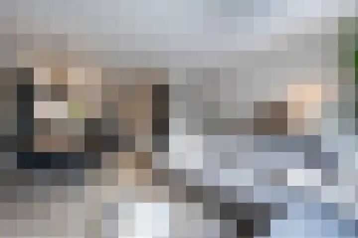 Boekhorstlaan 208 Voorhout thumbnail 5