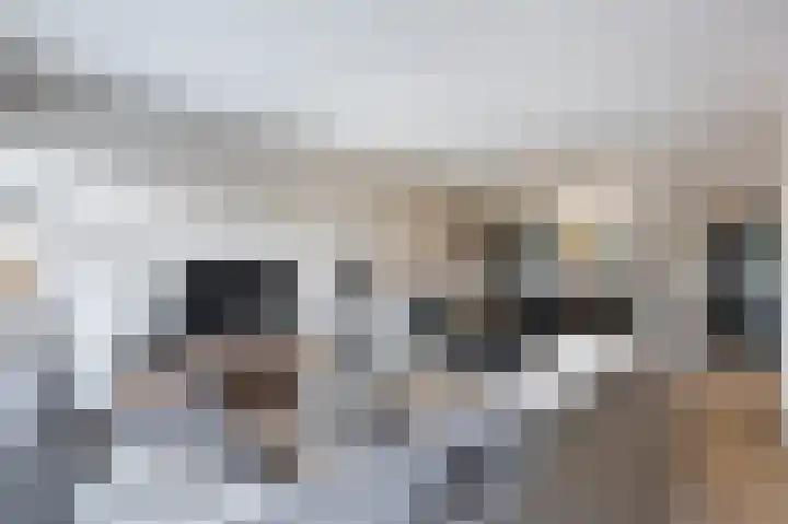 Boekhorstlaan 208 Voorhout thumbnail 6