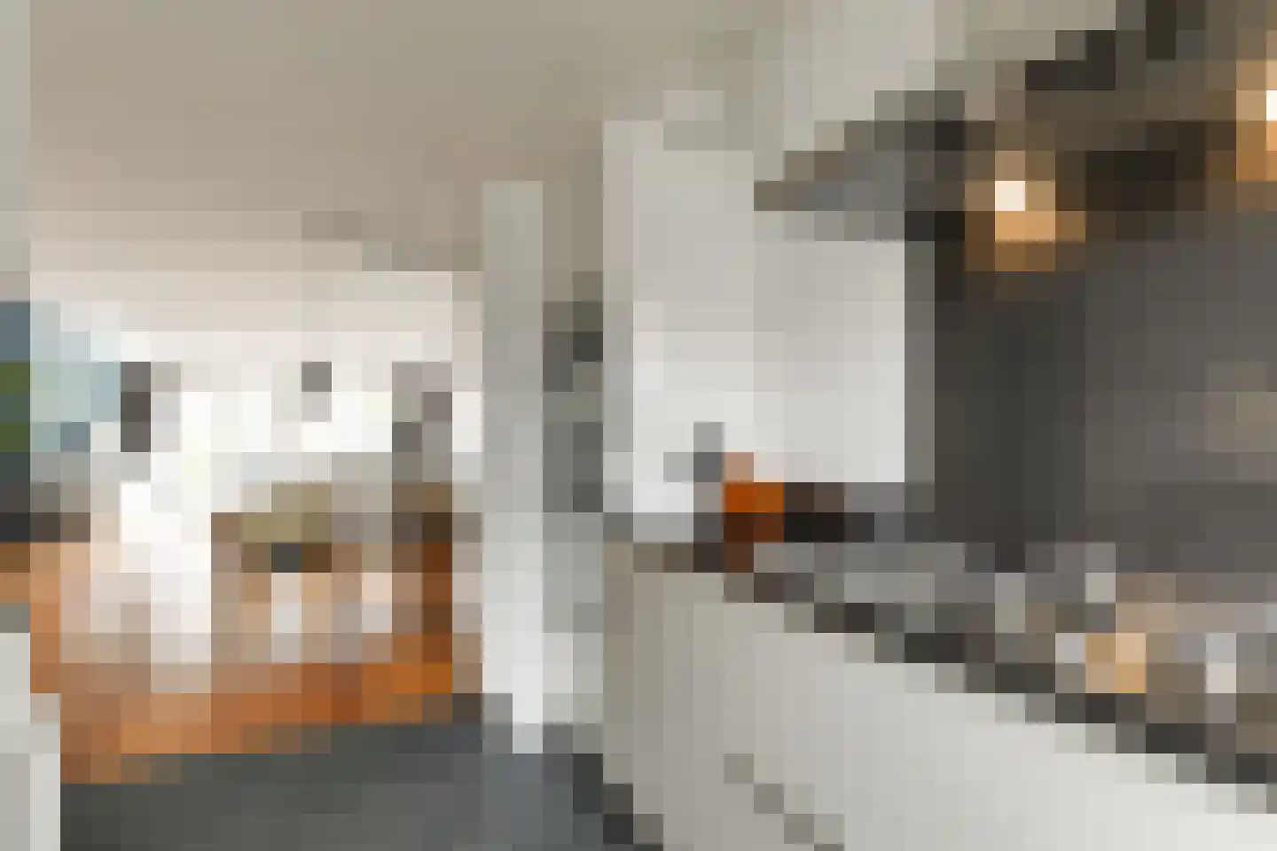 Boekhorstlaan 216 Voorhout thumbnail 11