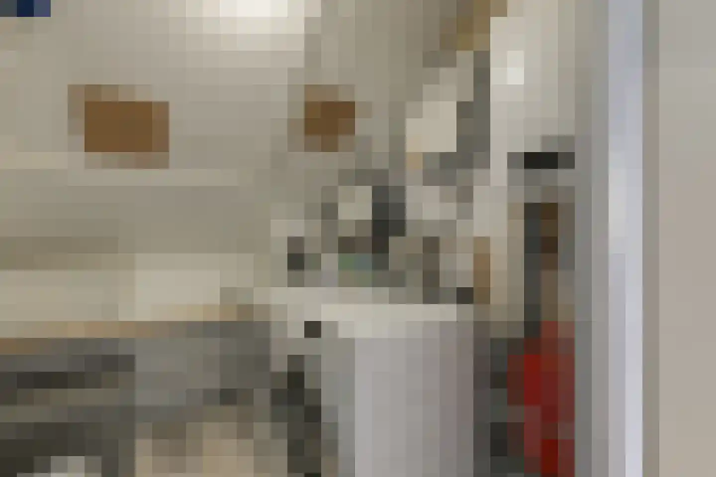 Boekhorstlaan 216 Voorhout thumbnail 28