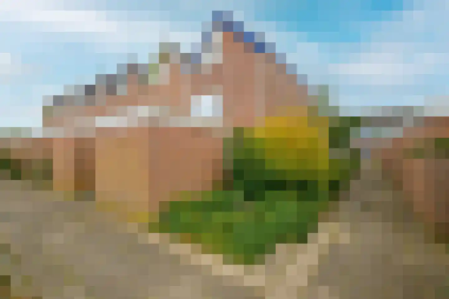 Boekhorstlaan 216 Voorhout thumbnail 30
