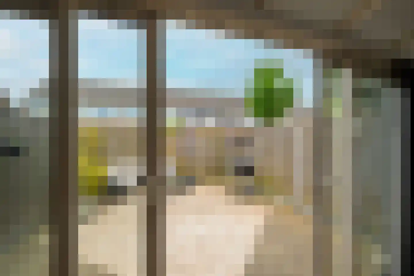 Boekhorstlaan 216 Voorhout thumbnail 35