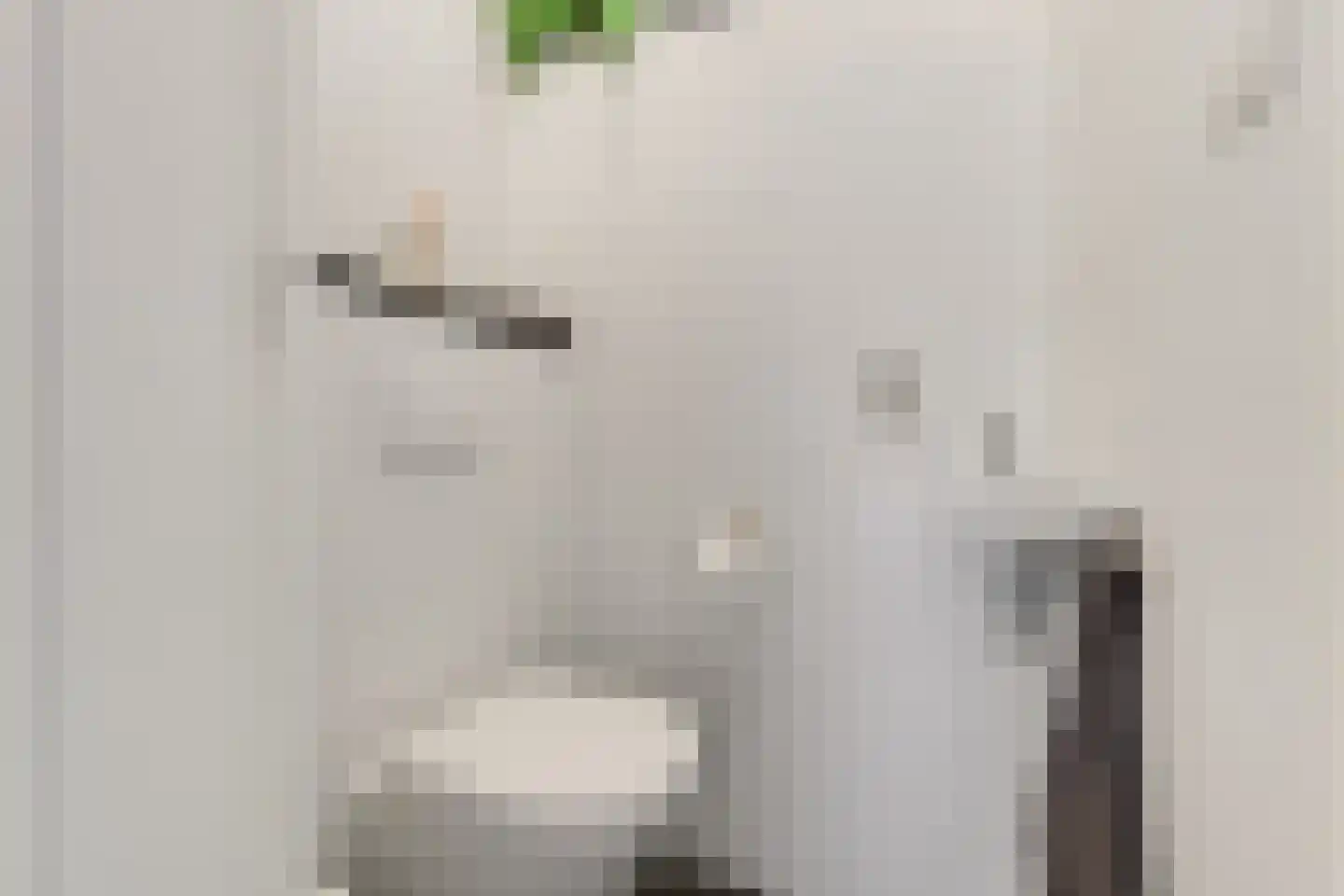 Boekhorstlaan 216 Voorhout thumbnail 5