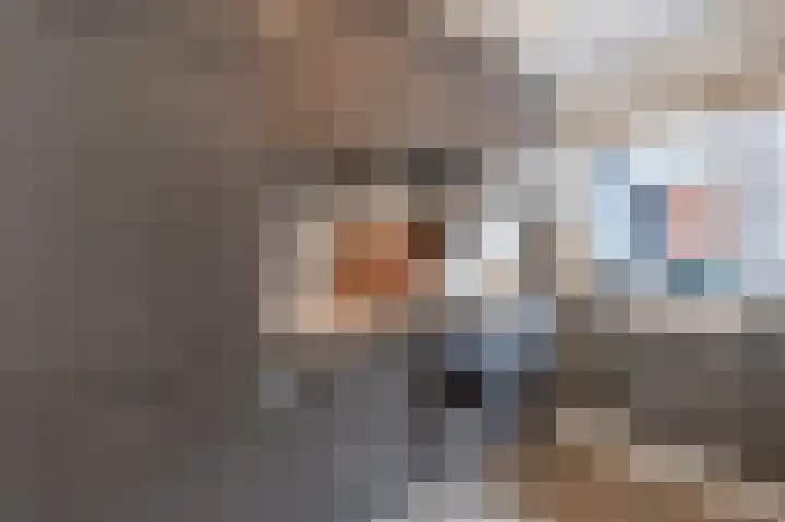 Boekhorstlaan 228 Voorhout thumbnail 11