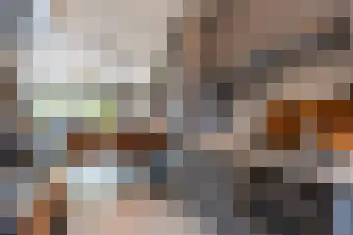 Boekhorstlaan 228 Voorhout thumbnail 13