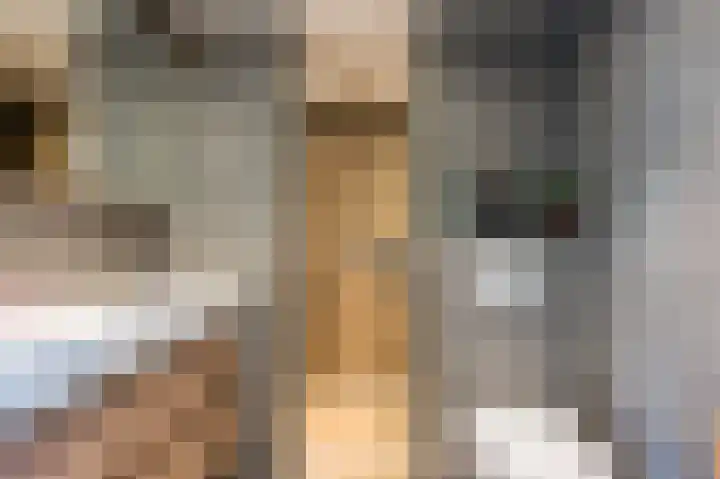 Boekhorstlaan 228 Voorhout thumbnail 21