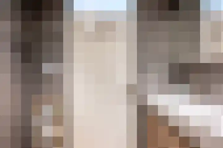 Boekhorstlaan 228 Voorhout thumbnail 23