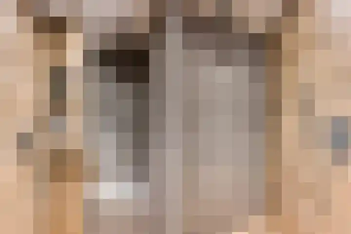 Boekhorstlaan 228 Voorhout thumbnail 24