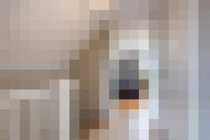 Boekhorstlaan 228 Voorhout thumbnail 26