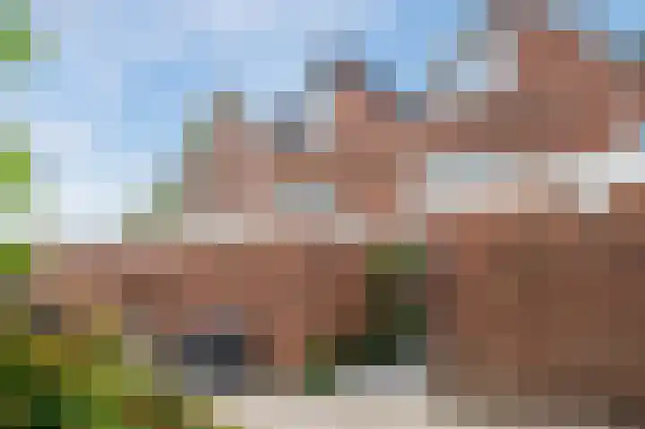 Boekhorstlaan 228 Voorhout thumbnail 39