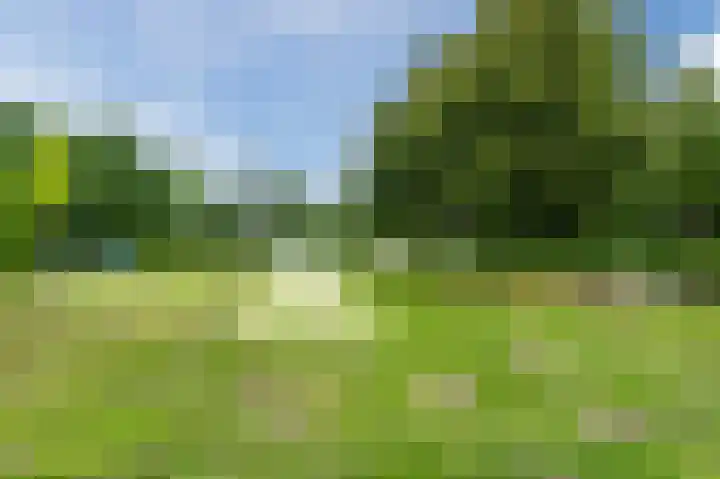 Boekhorstlaan 228 Voorhout thumbnail 40