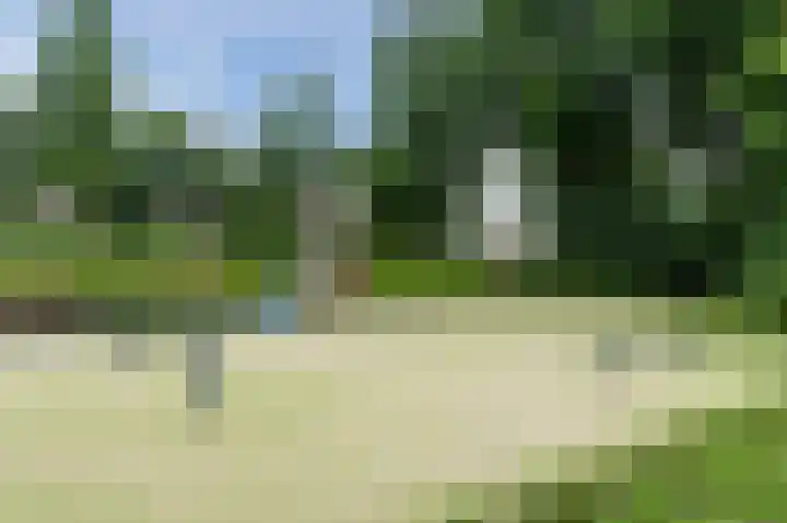 Boekhorstlaan 228 Voorhout thumbnail 41