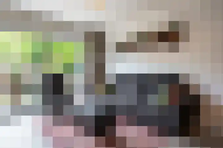 Boekhorstlaan 228 Voorhout thumbnail 6
