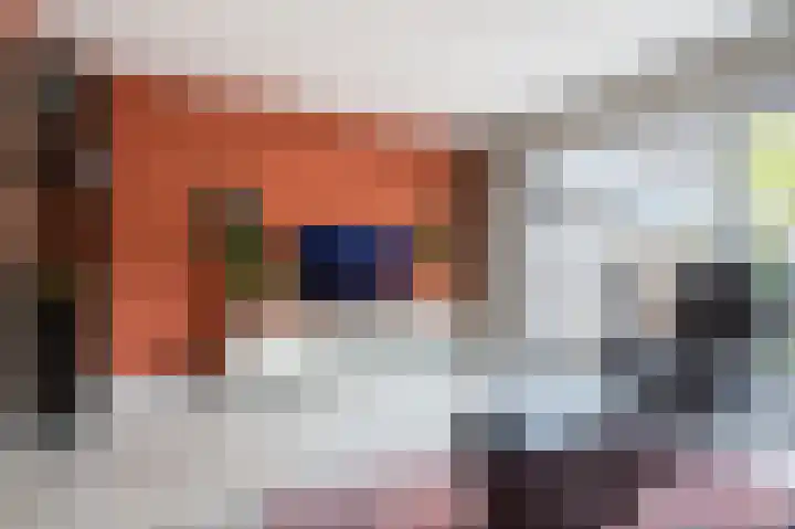 Boekhorstlaan 228 Voorhout thumbnail 7