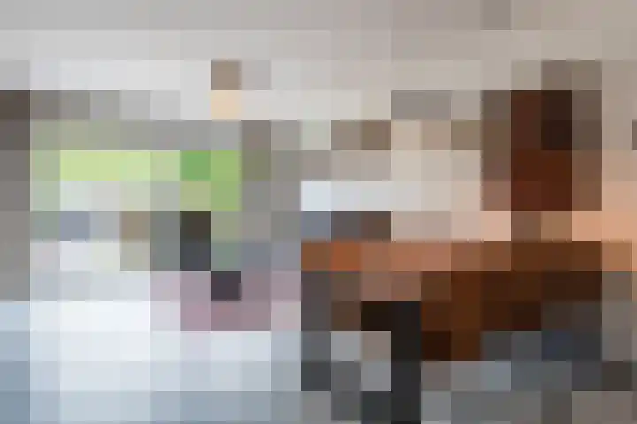 Boekhorstlaan 228 Voorhout thumbnail 8