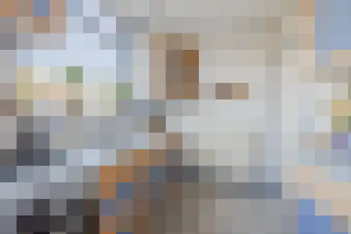 Boekhorstlaan 3 Voorhout thumbnail 11