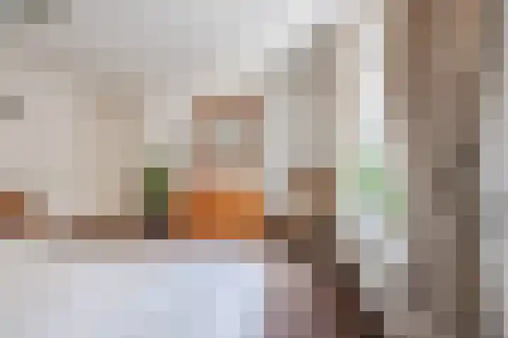 Boekhorstlaan 3 Voorhout thumbnail 17