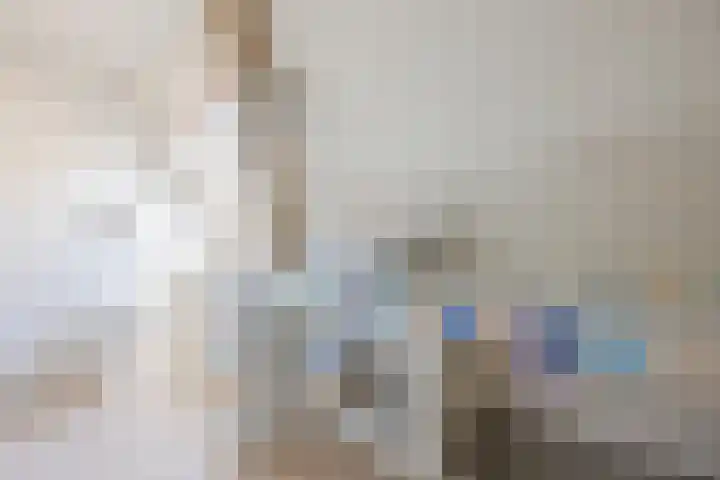 Boekhorstlaan 3 Voorhout thumbnail 22