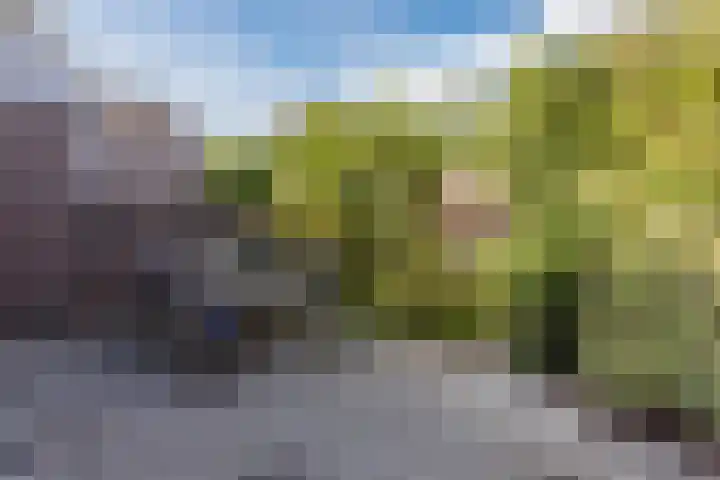 Boekhorstlaan 3 Voorhout thumbnail 25
