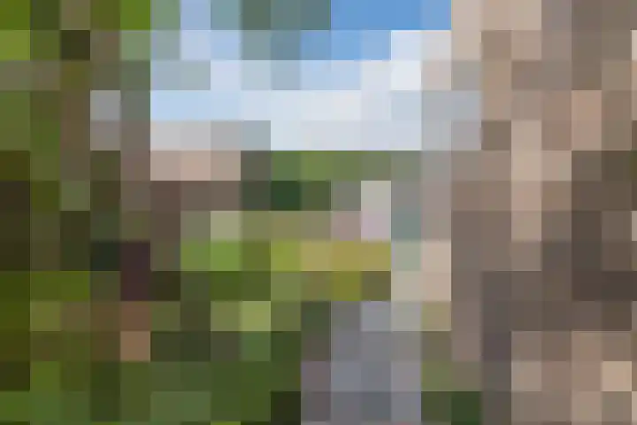 Boekhorstlaan 3 Voorhout thumbnail 26