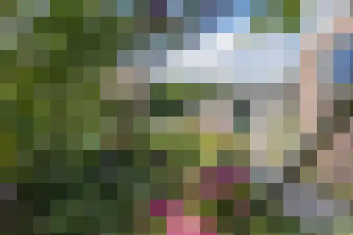 Boekhorstlaan 3 Voorhout thumbnail 27
