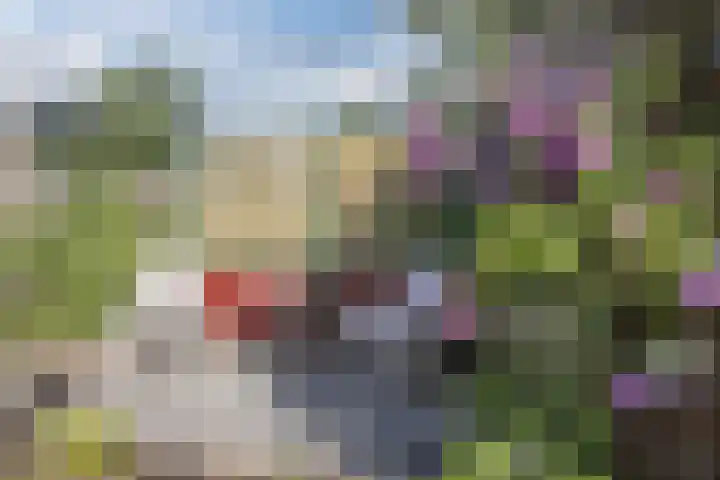 Boekhorstlaan 3 Voorhout thumbnail 28