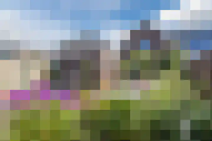 Boekhorstlaan 3 Voorhout thumbnail 29