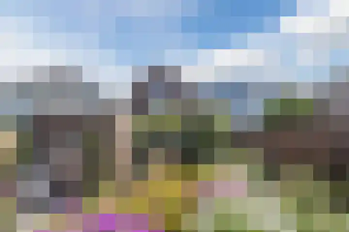 Boekhorstlaan 3 Voorhout thumbnail 30