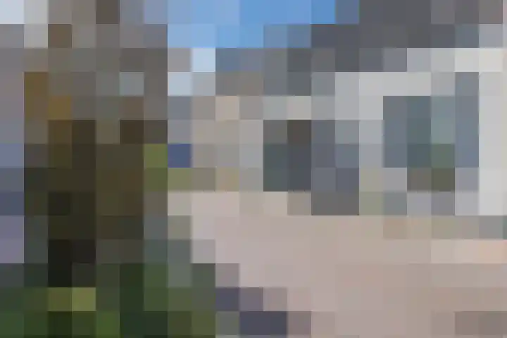 Boekhorstlaan 3 Voorhout thumbnail 35