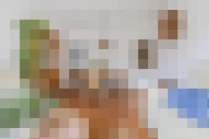 Boekhorstlaan 3 Voorhout thumbnail 6