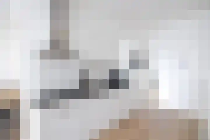 Boekhorststraat 105 B Den Haag thumbnail 19
