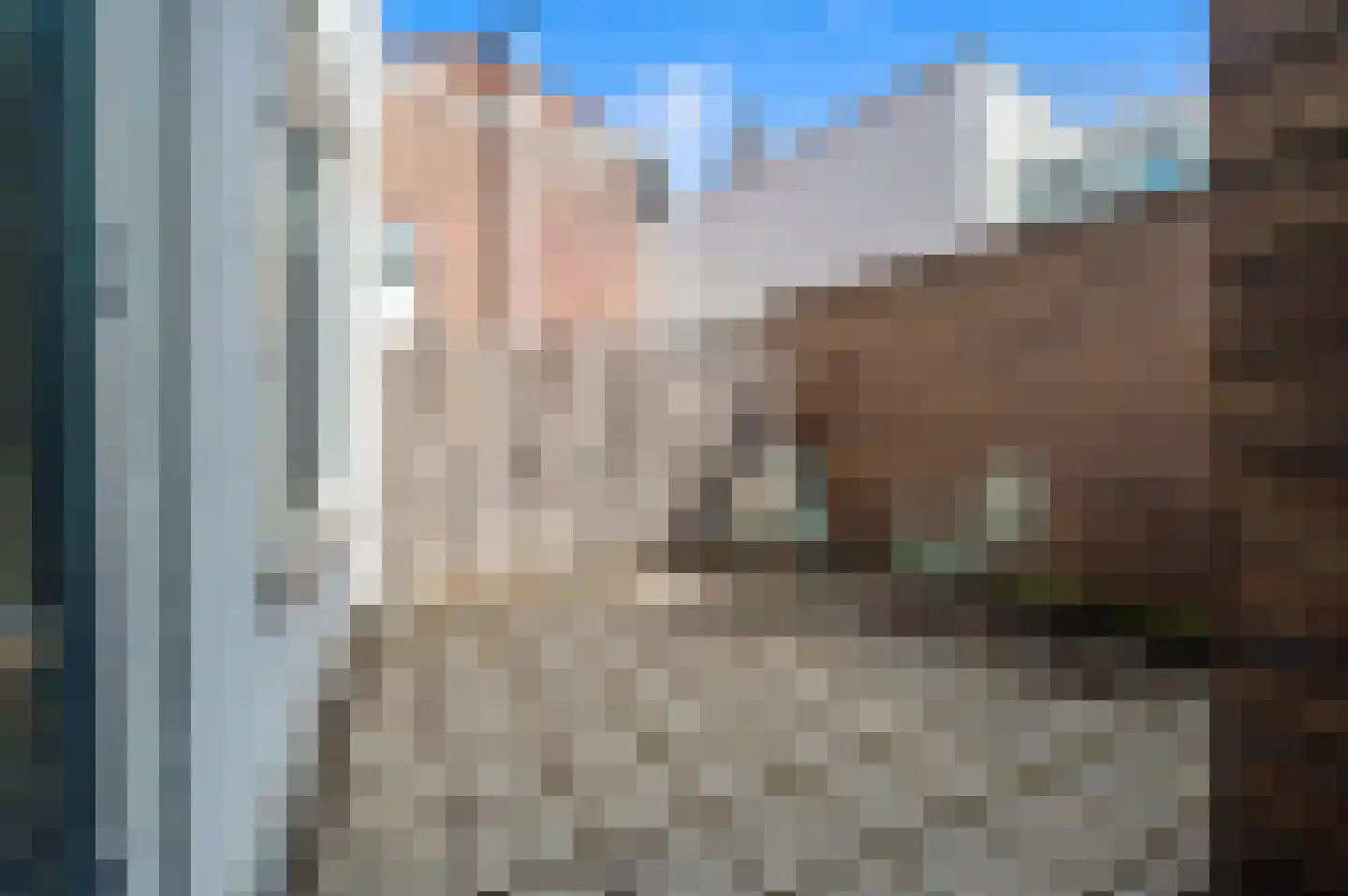 Boekhorststraat 52 A Den Haag thumbnail 14