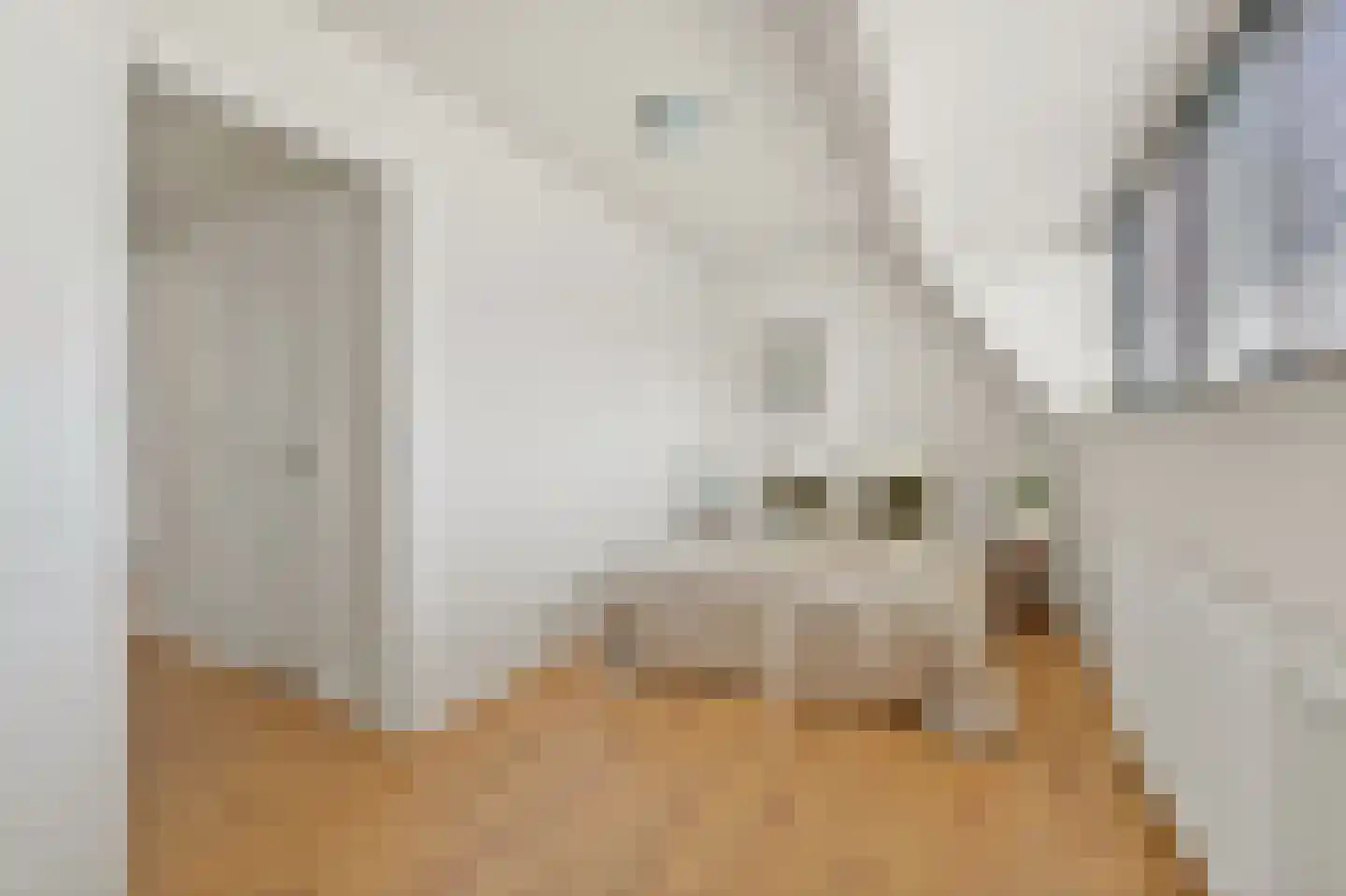 Boekhorststraat 52 A Den Haag thumbnail 25