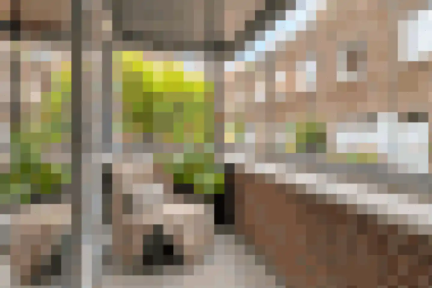 Boekhorststraat 75 Den Haag thumbnail 18