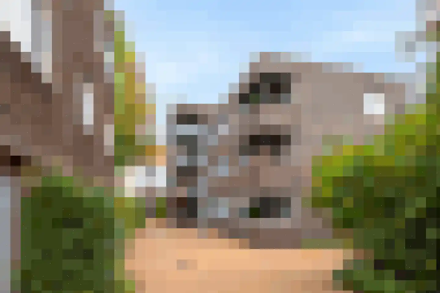 Boekhorststraat 75 Den Haag thumbnail 20