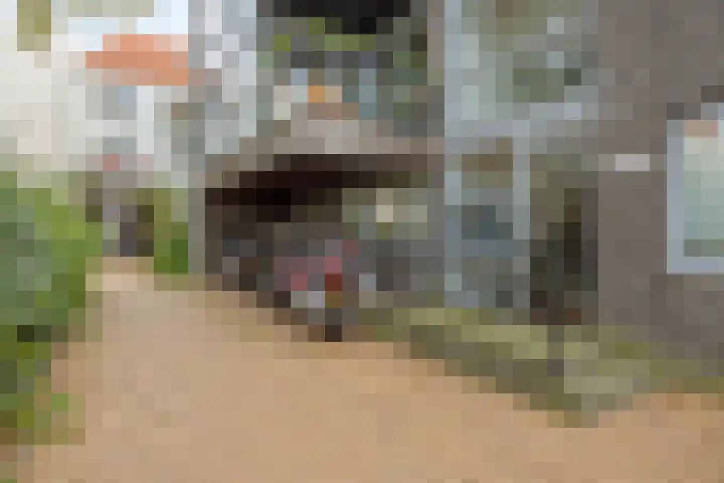 Boekhorststraat 75 Den Haag thumbnail 21