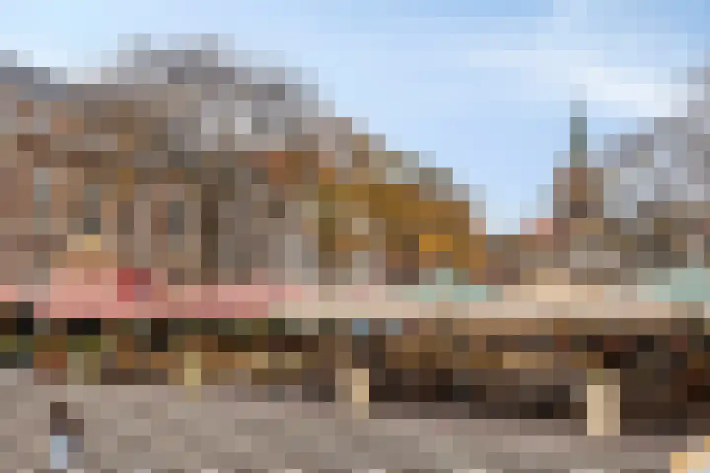 Boekhorststraat 75 Den Haag thumbnail 28