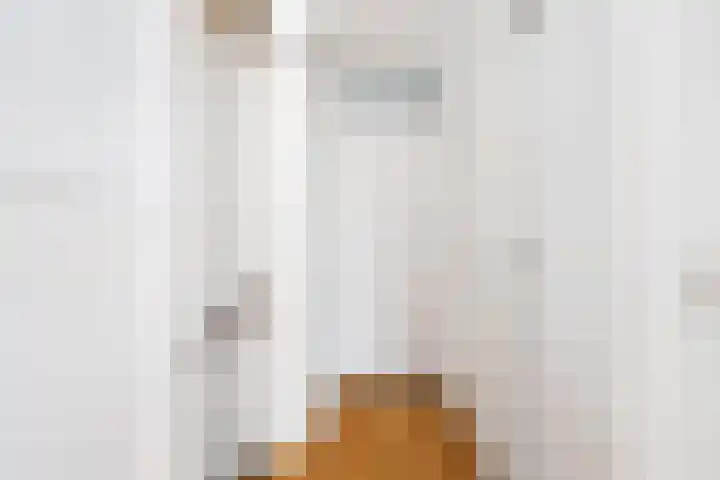 Boekhout 3 Steenbergen thumbnail 12