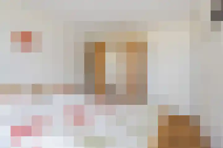Boekhout 3 Steenbergen thumbnail 15